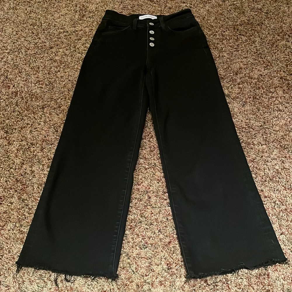 Flying Monkey - image 1